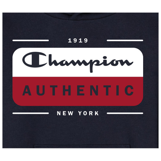 Champion Παιδικό φούτερ Hooded Sweatshirt Champion Παιδικό φούτερ Hooded Sweatshirt